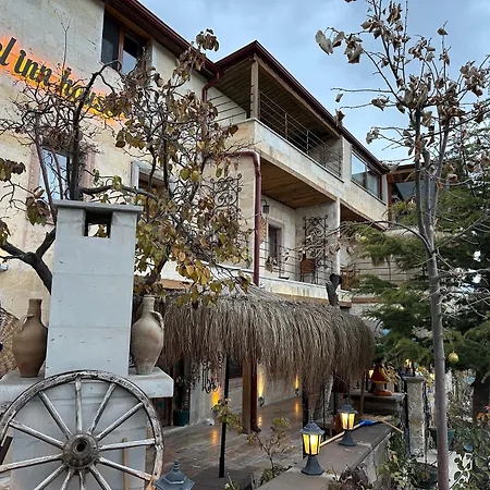 Hotel Aysel House