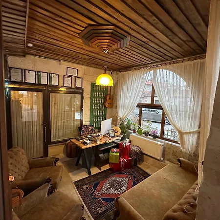 Aysel House